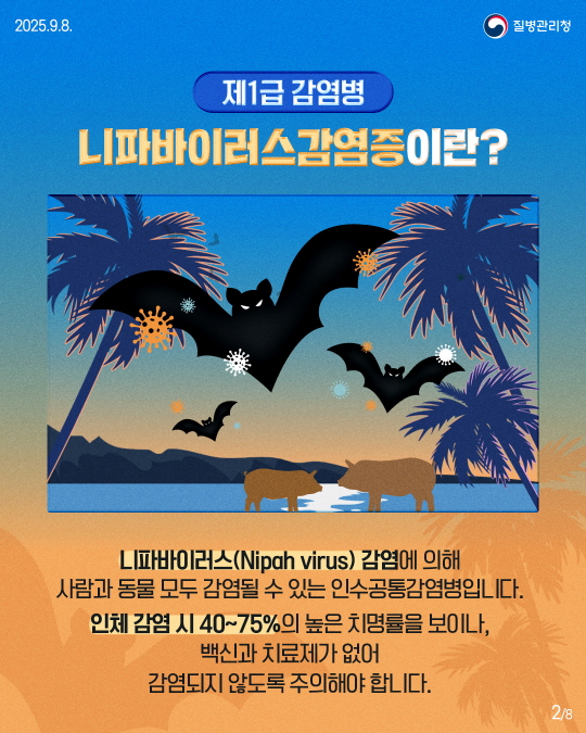 니파바이러스 발생 국가 방문시 예방수칙 준수 당부